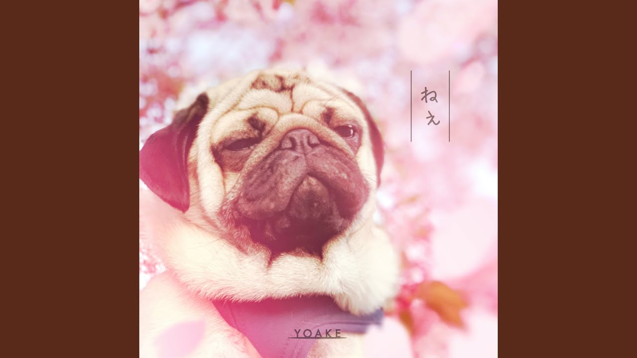 ねぇ