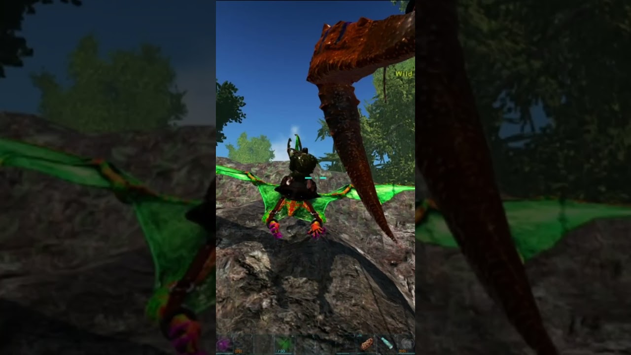 Trying to lose a Rhyniognatha 