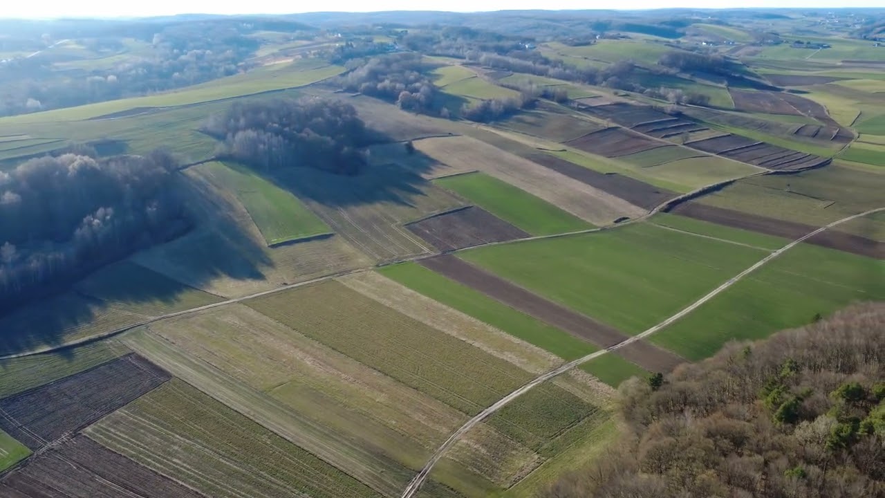 Hosznia Ordynacka Łysiec