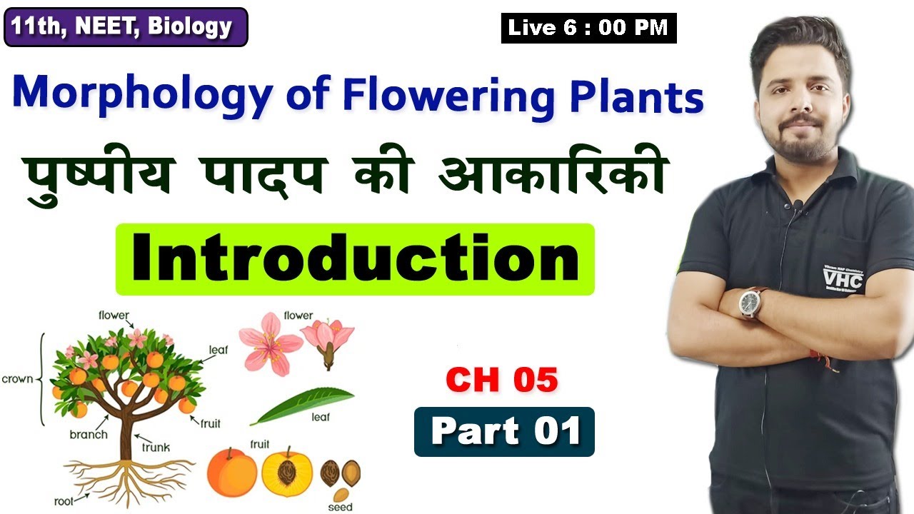 Part 01 Morphology of Flowering Plants, (Introduction), 11th Biology