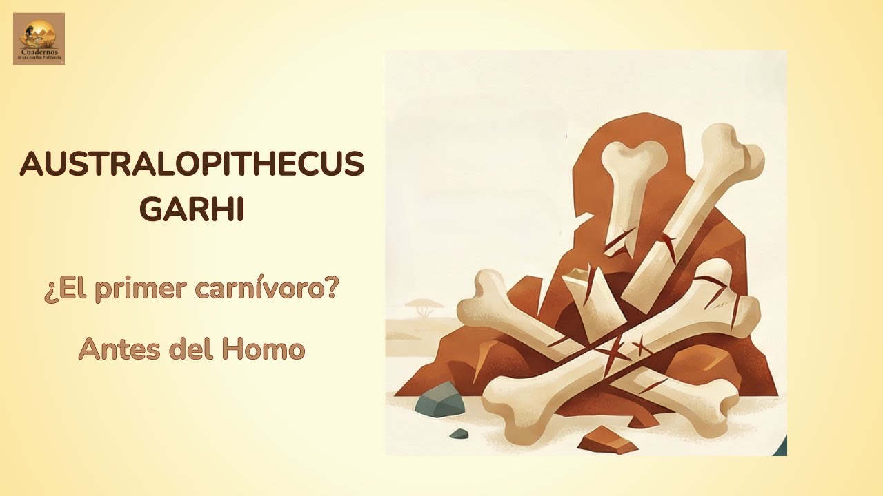 Australopithecus Garhi: el primero homínido en comer carne