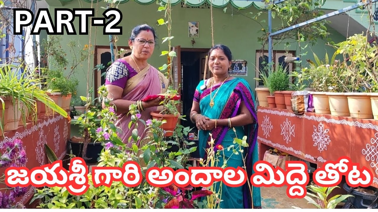 జయ శ్రీ గారి అందాల మిద్దెతోట, PART 2#