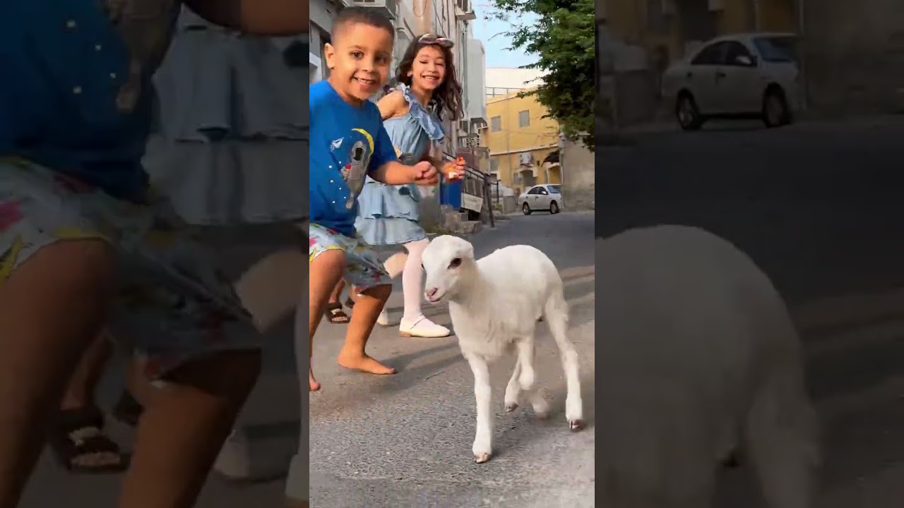 الدير جنه - 2022