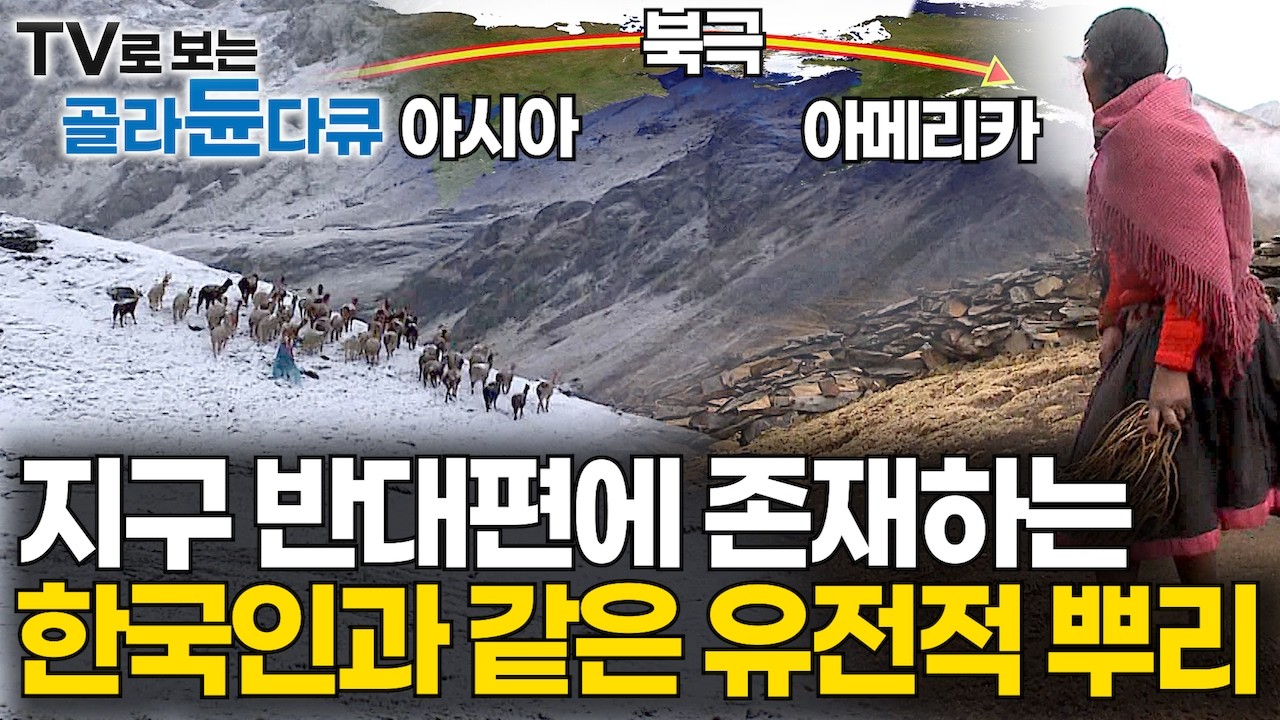 🌜수면다큐🌛척박하다 못해 처절한 안데스 고원에서의 삶. 그들은 왜 북극해를 건너 아메리카로 갔을까｜한국인과 유전적으로 같은 뿌리｜마지막 잉카가 먹고 사는 법｜다큐프라임｜#골라듄다큐