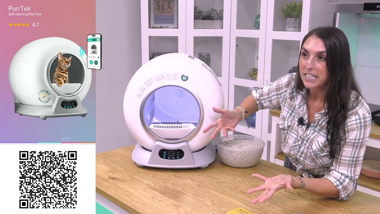 Purrtek PRODUCT REVIEW - Test Drive Live