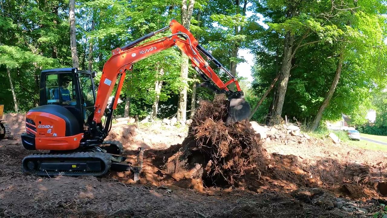 Large Stump VS Mini Excavator