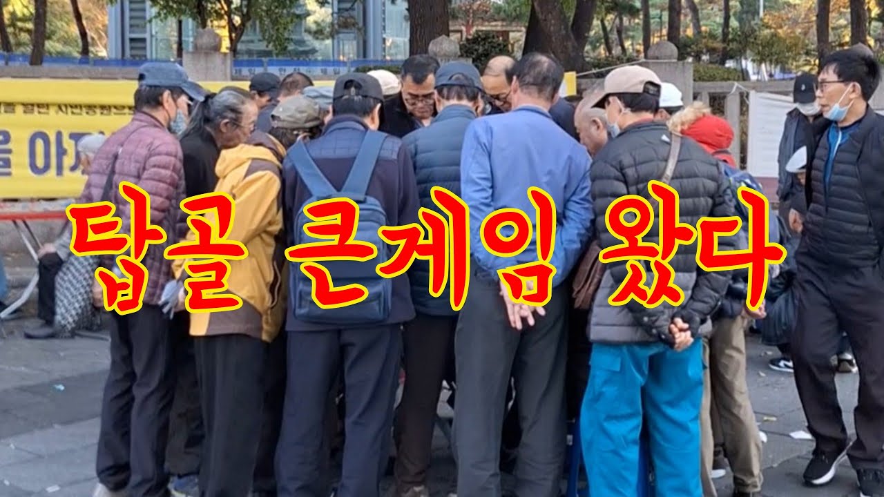 장기판은 키워야 맛 (Xiangqi, 象棋)(Shogi, 将棋)(Chaturanga)(Cờ tướng)