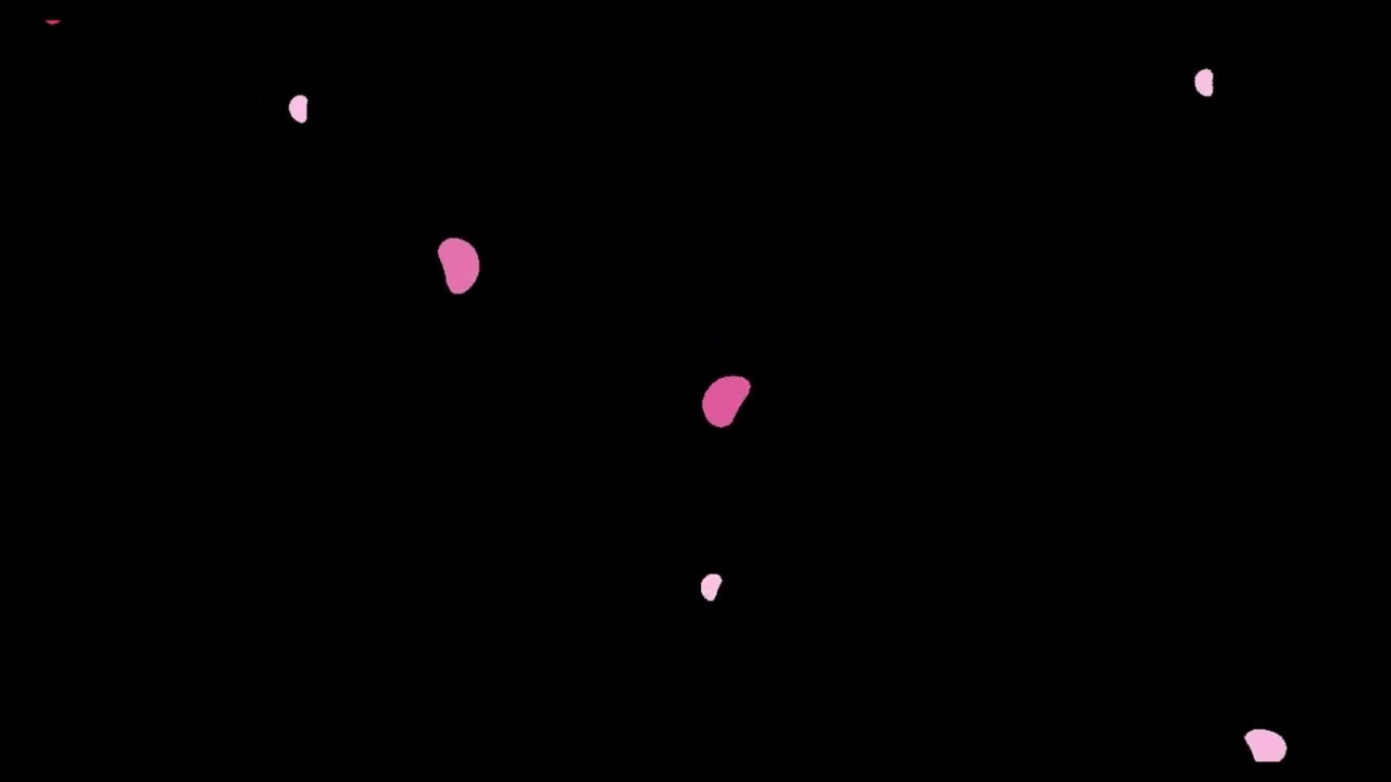 Feminine Black Pink Fall Leaves | Deep Focus & Concentration |Calm Mind Aesthetic Video 