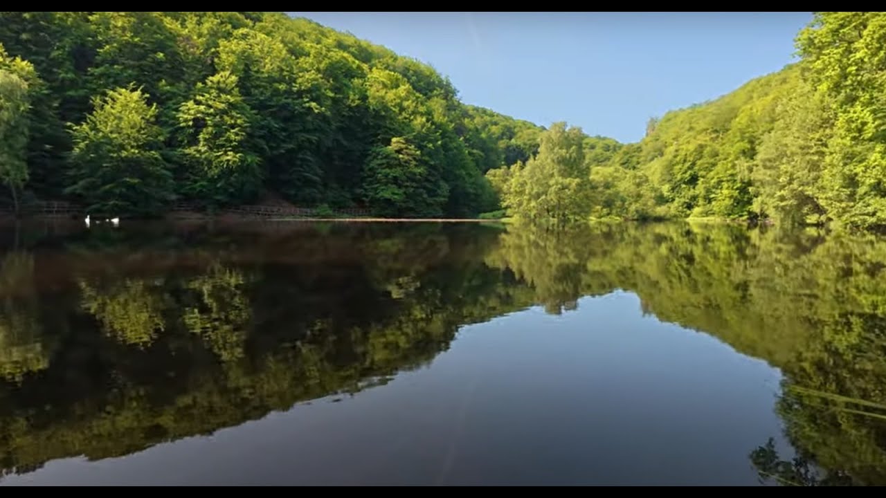 Söderåsen Nationalpark, June 12, 2025