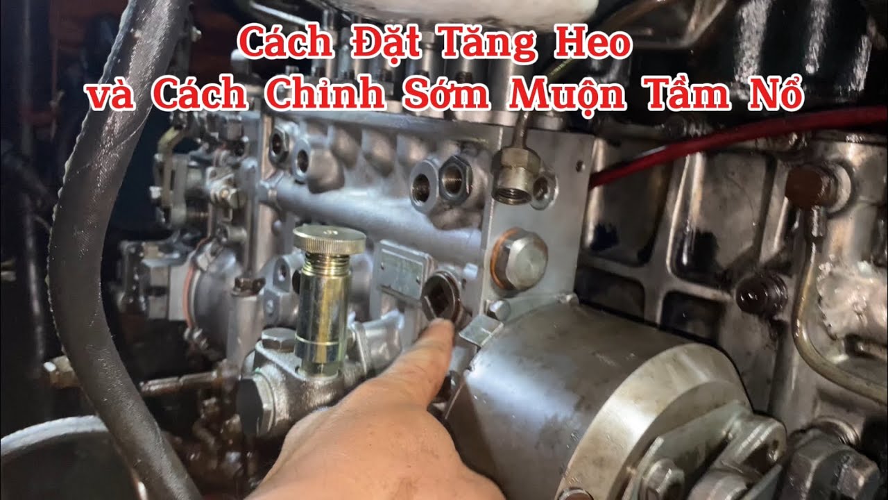 Cách Lắp Ráp Heo ( Bơm ) Đúng Chiều và Tăng Chỉnh Sớm Muộn || Diesel Mechanic VietNamese