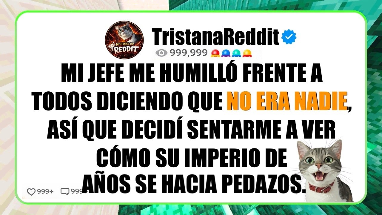 Mi JEFE Me Humilló Frente a Todos Diciendo Que NO Era NADIE, Así Que Decidí Sentarme y VER.