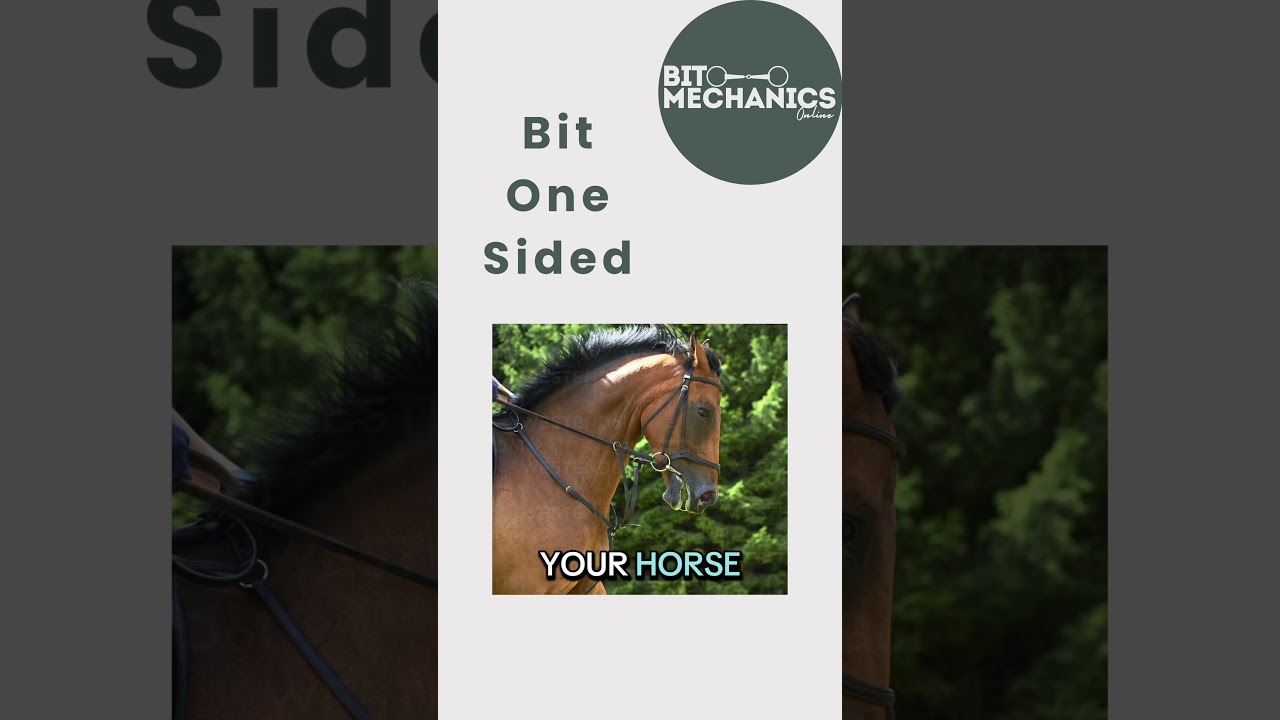 Identifying bit-related pain behaviours 🐴 #horses #horseriding #horsebits #bitmechanics