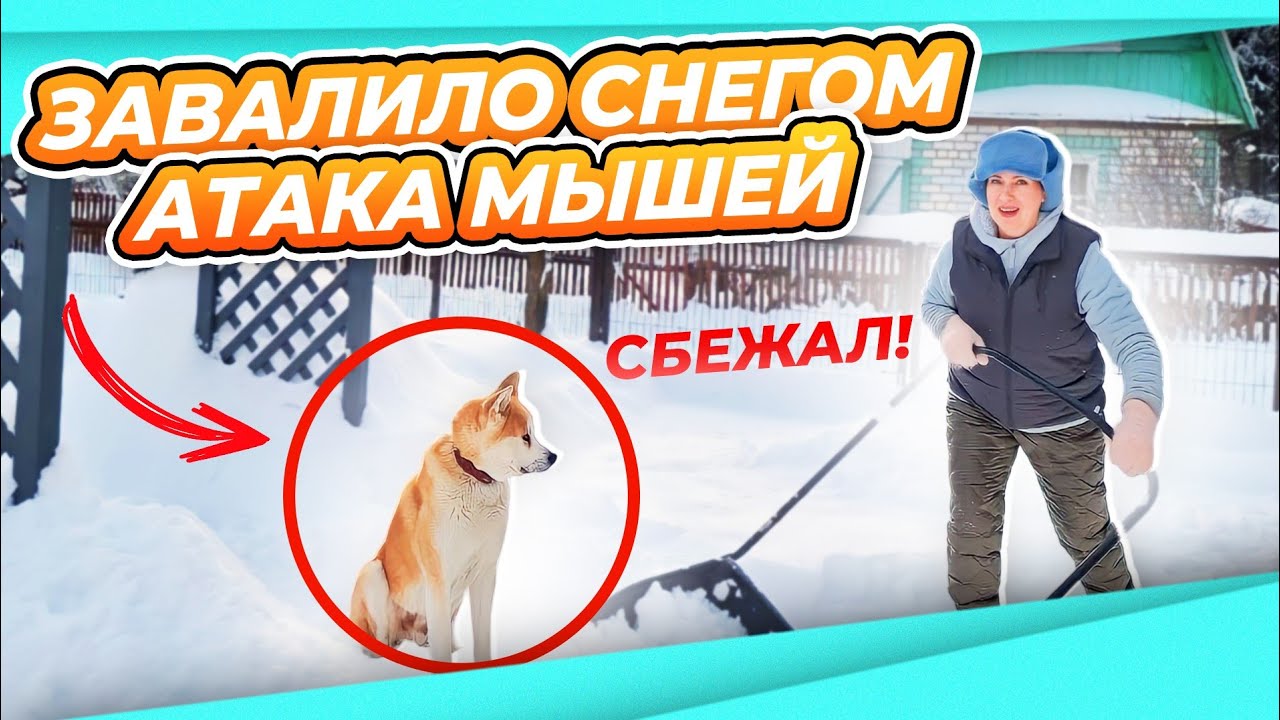 ВЛОГ | ОДНА В СНТ | САТУ СБЕЖАЛ | МЫШИ НАГЛЕЮТ | СНЕГ МЕТЁТ | А ТАК ВСЕ БЫЛО ХОРОШО