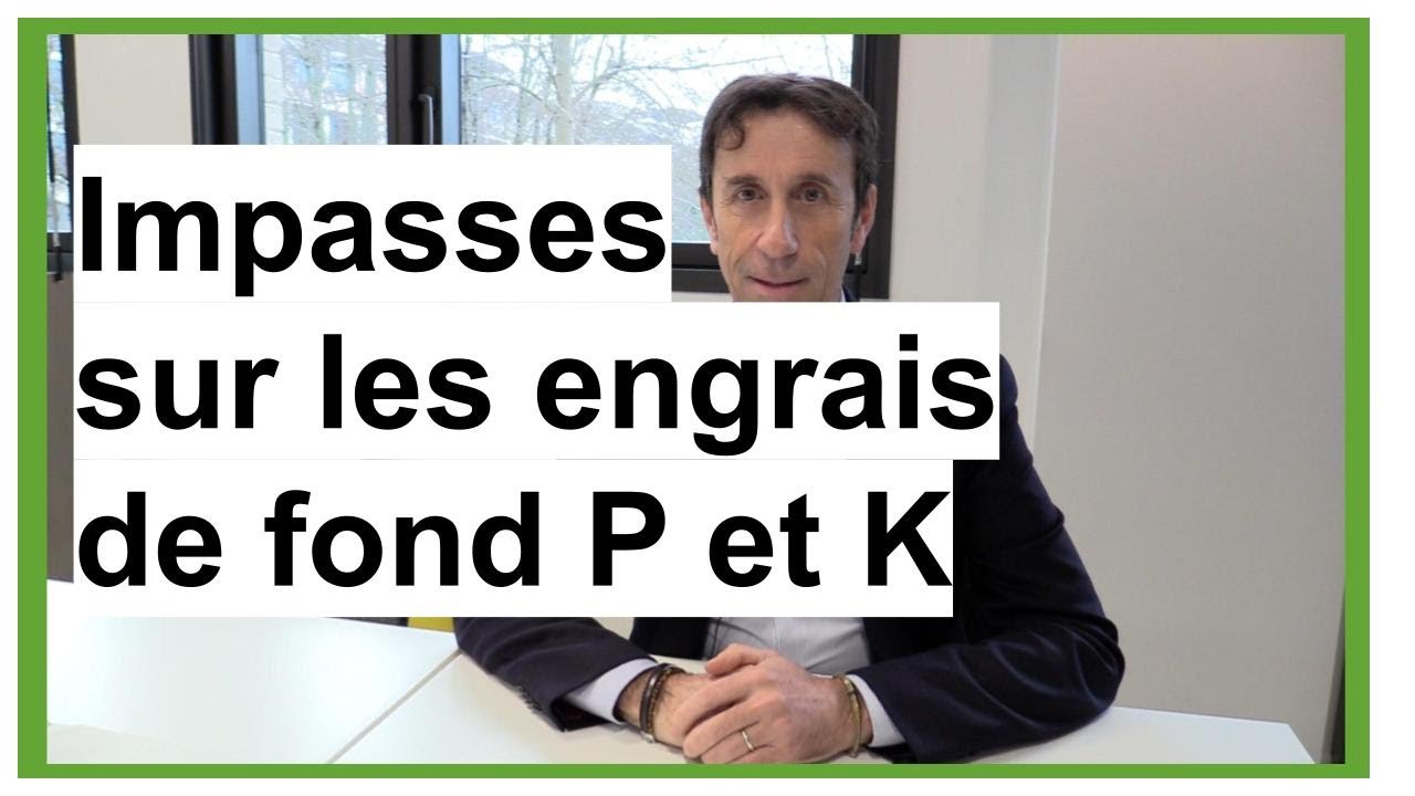 Impasses sur les engrais de fond : quelles conséquences ?