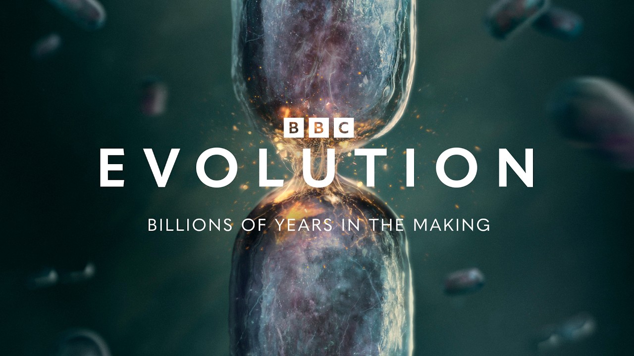 Evolution: Official Trailer | BBC Earth Science