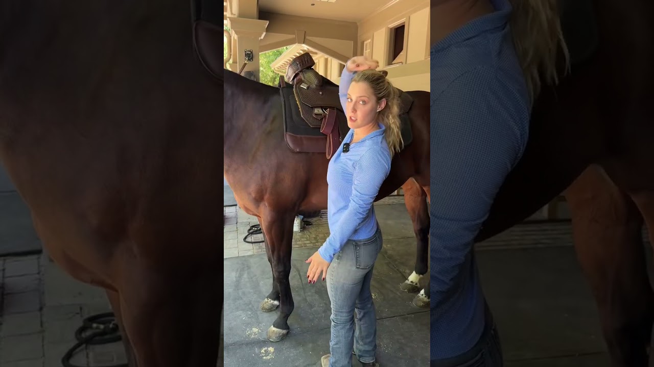 How to tack up western #shorts #horse101 #westernsaddle #tack #tackingup