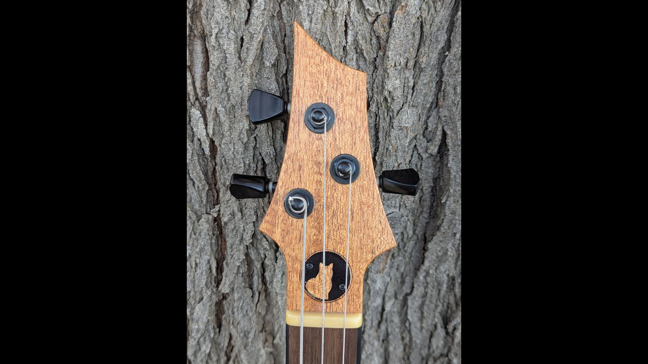 Custom Boutique Cigar Box Guitar | Clean Tones & High-Gain Demo | White Cat Guitars