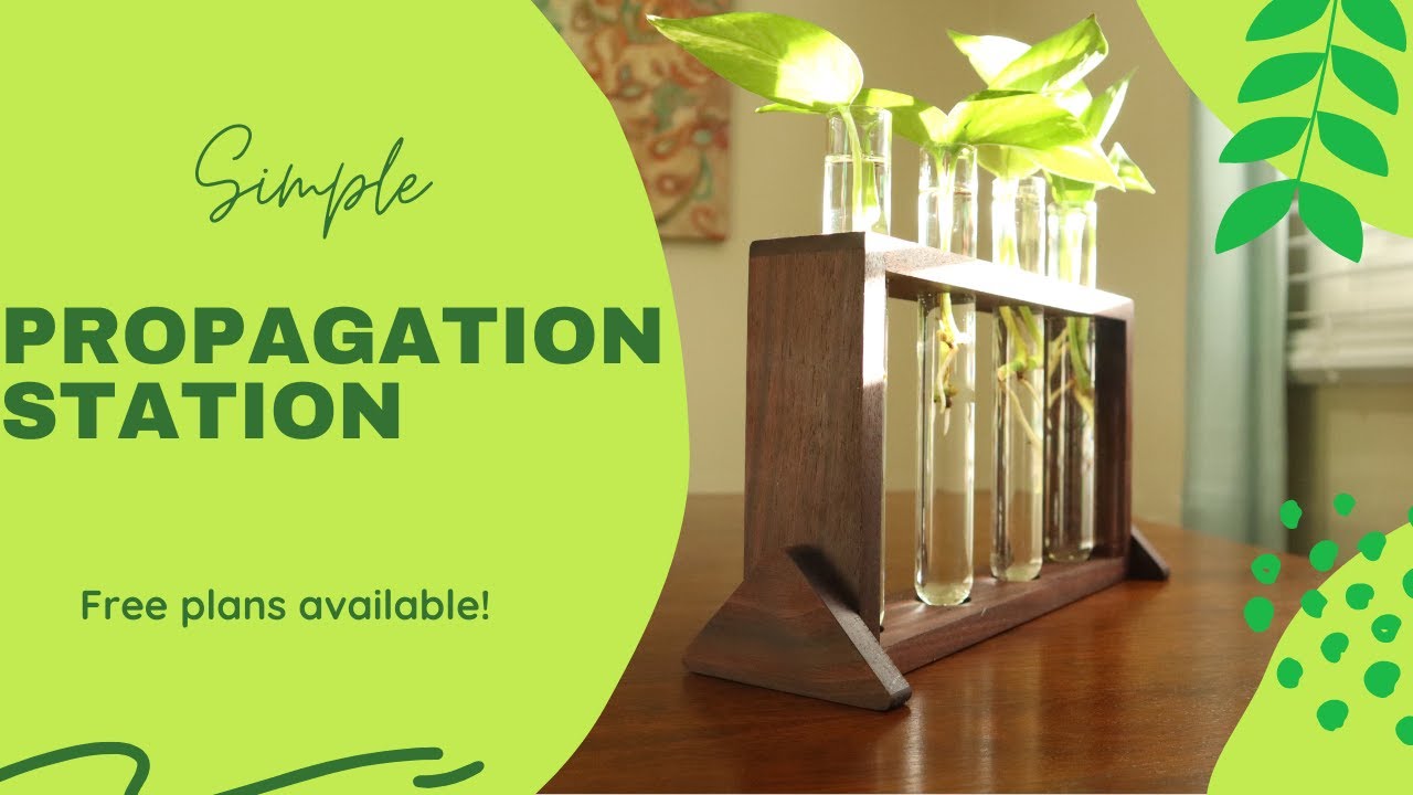 How To Make A Propagation Station