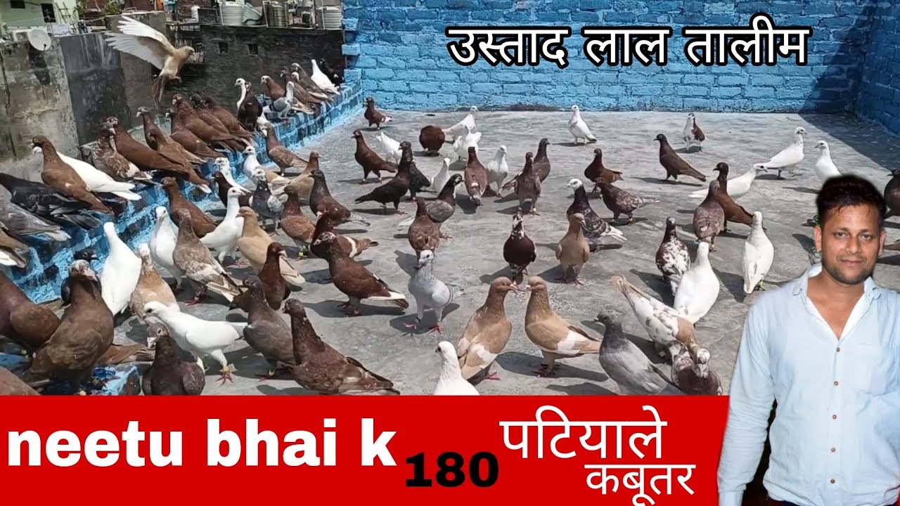 Season ki shuruaat ho chuki hai 👍🏻 1st video neetu bhai k shokh ki 🔥❤️