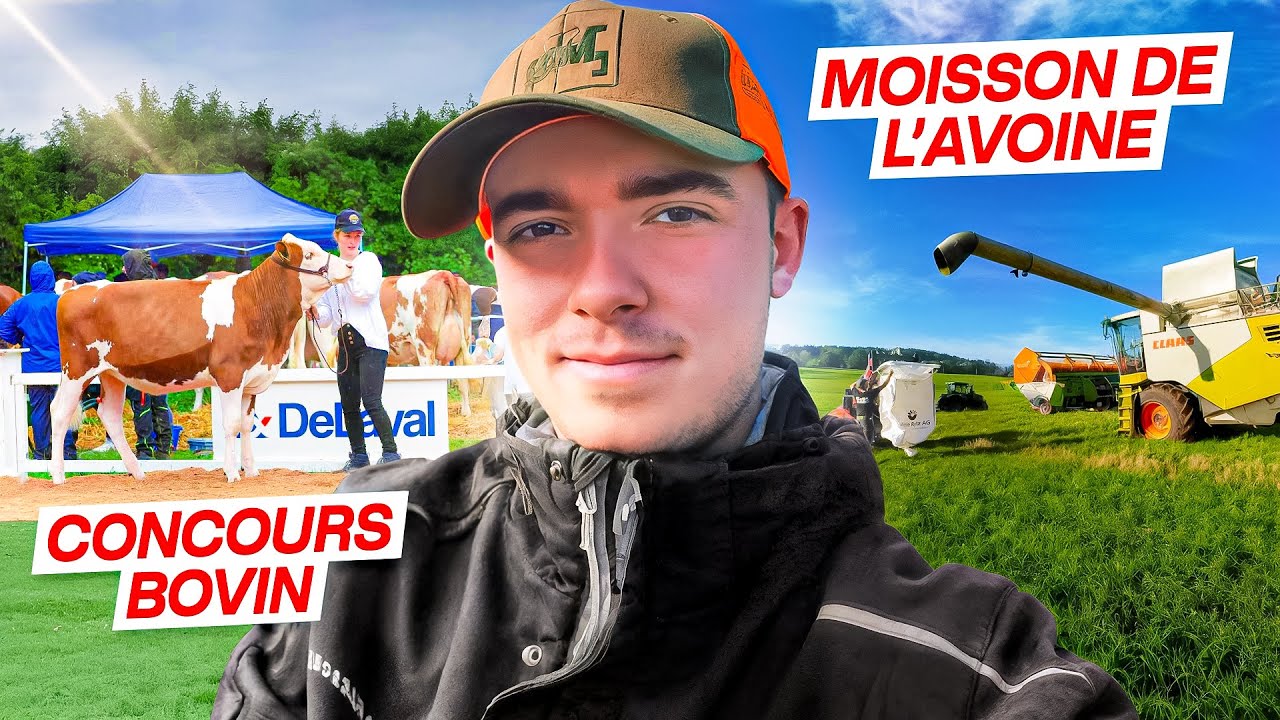 Récapitulatif Et Explications De Ces Derniers Mois !! | Partie 1