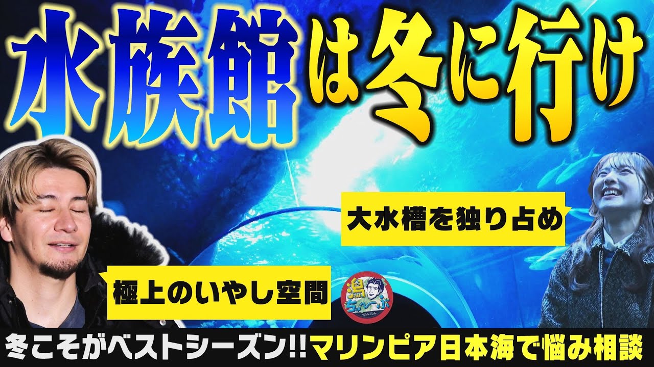 【新潟の水族館】マリンピア日本海の悩み「冬はお客さんがきてくれない…」いやいや冬こそ水族館のベストシーズン！JOYと大塚七海が極上の癒やしを味わう▽北村優羽の小千谷Google Map旅【潟ちゅーぶ】