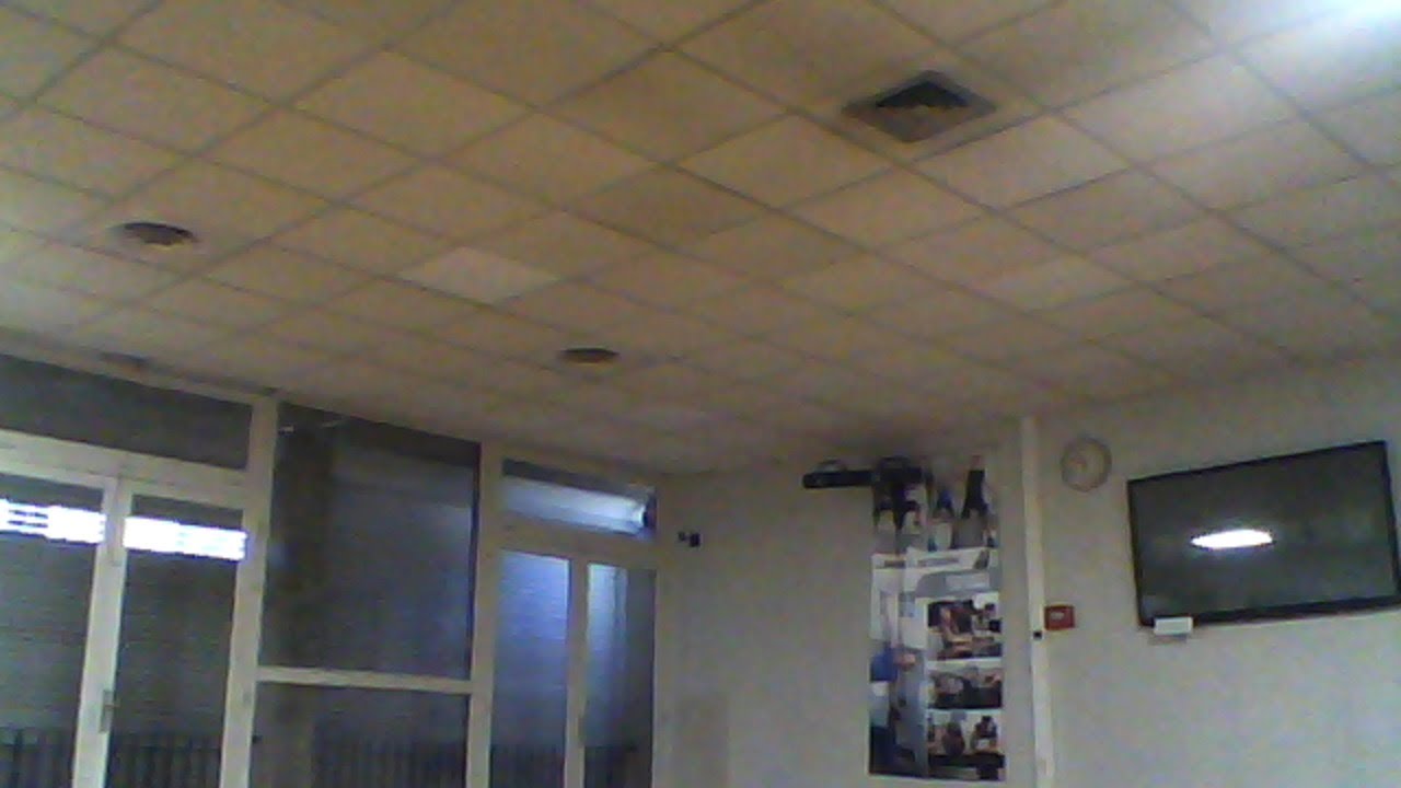 GYM POSTURALE STRECHTING