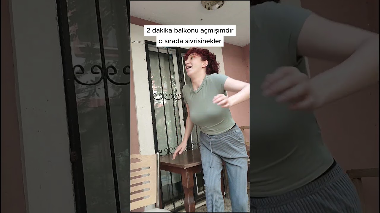 SİVRİSİNEKLER // SİVRİLER İLE İMTİHAN #komik