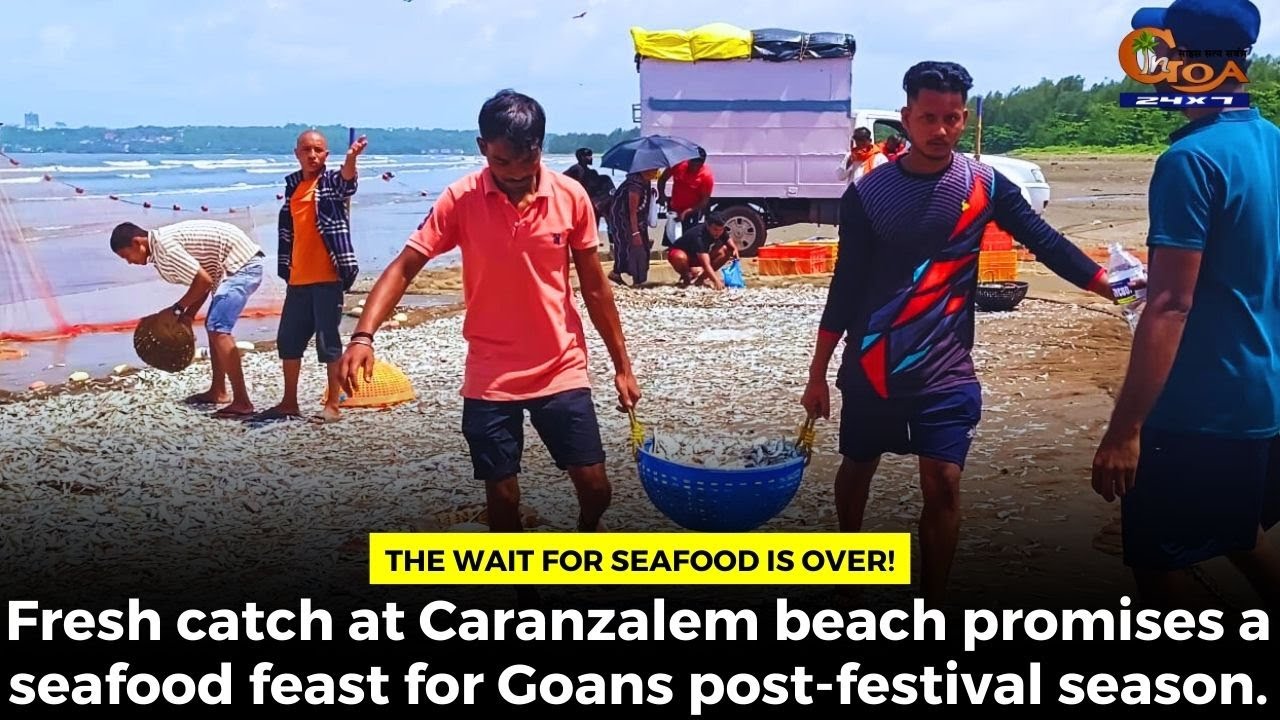 The Wait for Seafood is Over! Fresh catch at Caranzalem beach promises a seafood