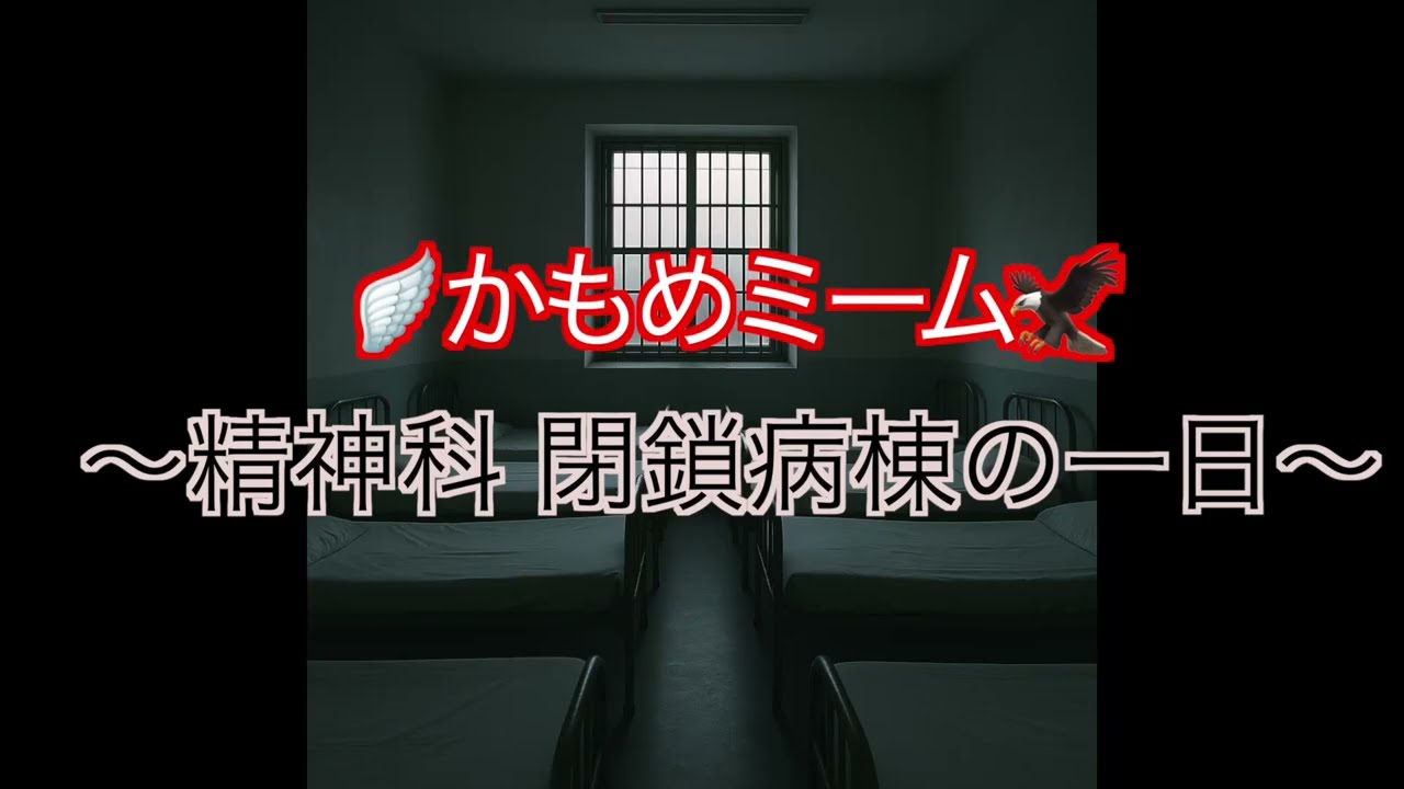 【統合失調症】〜精神科 閉鎖病棟 一日の流れをカモメミームで分かりやすく紹介。