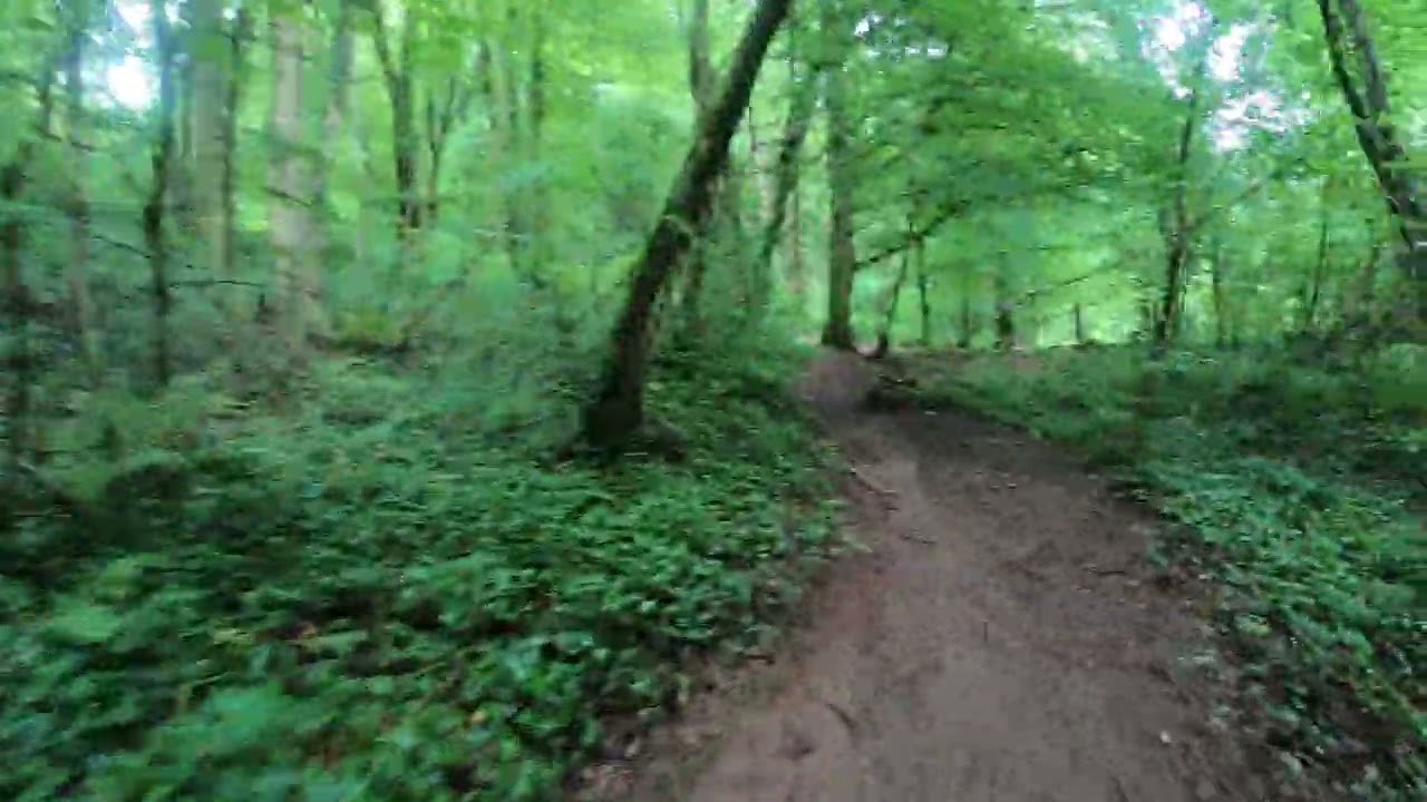 Cardiff mountain bike trail - Fforest Ganol - Rarebit nutters