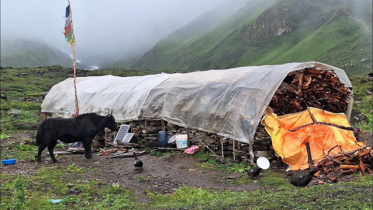 The Village Life Of Western Rural People Are Hardly Worked In Whole Life || Mist Peaceful Life || 