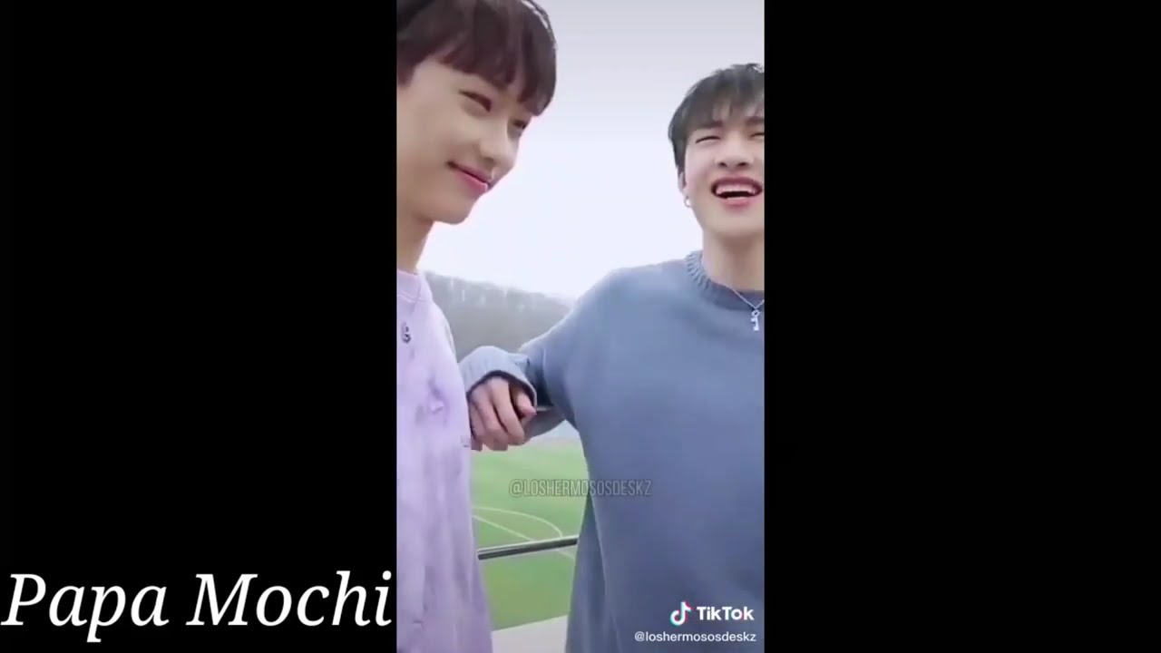 memes de stray Kids #8; Tik Tok ver.
