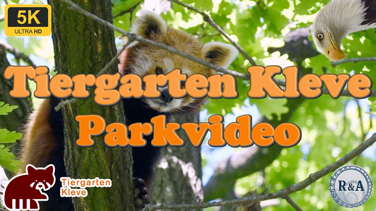 Zoo Kleve 2025 Parkvideo 5K