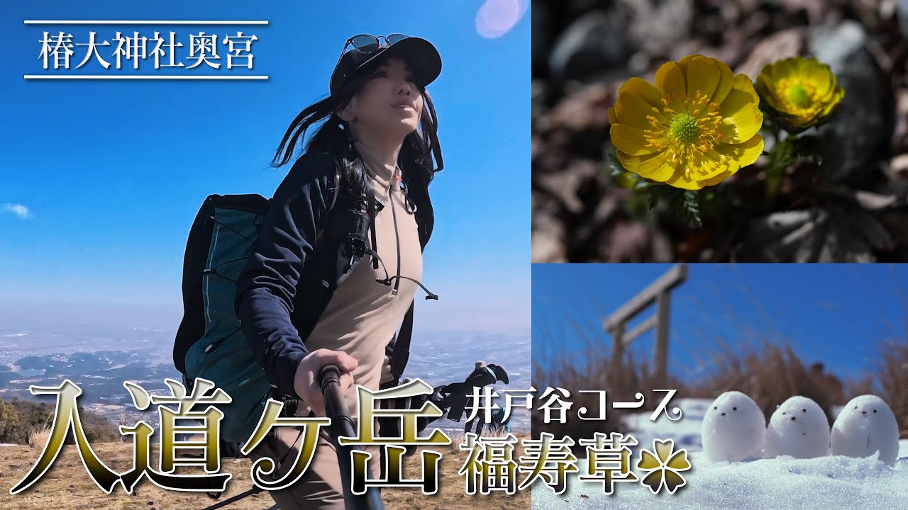 【雪山登山Vlog】残雪期 入道ヶ岳 - 井戸谷コースの福寿草と椿大神社奥宮