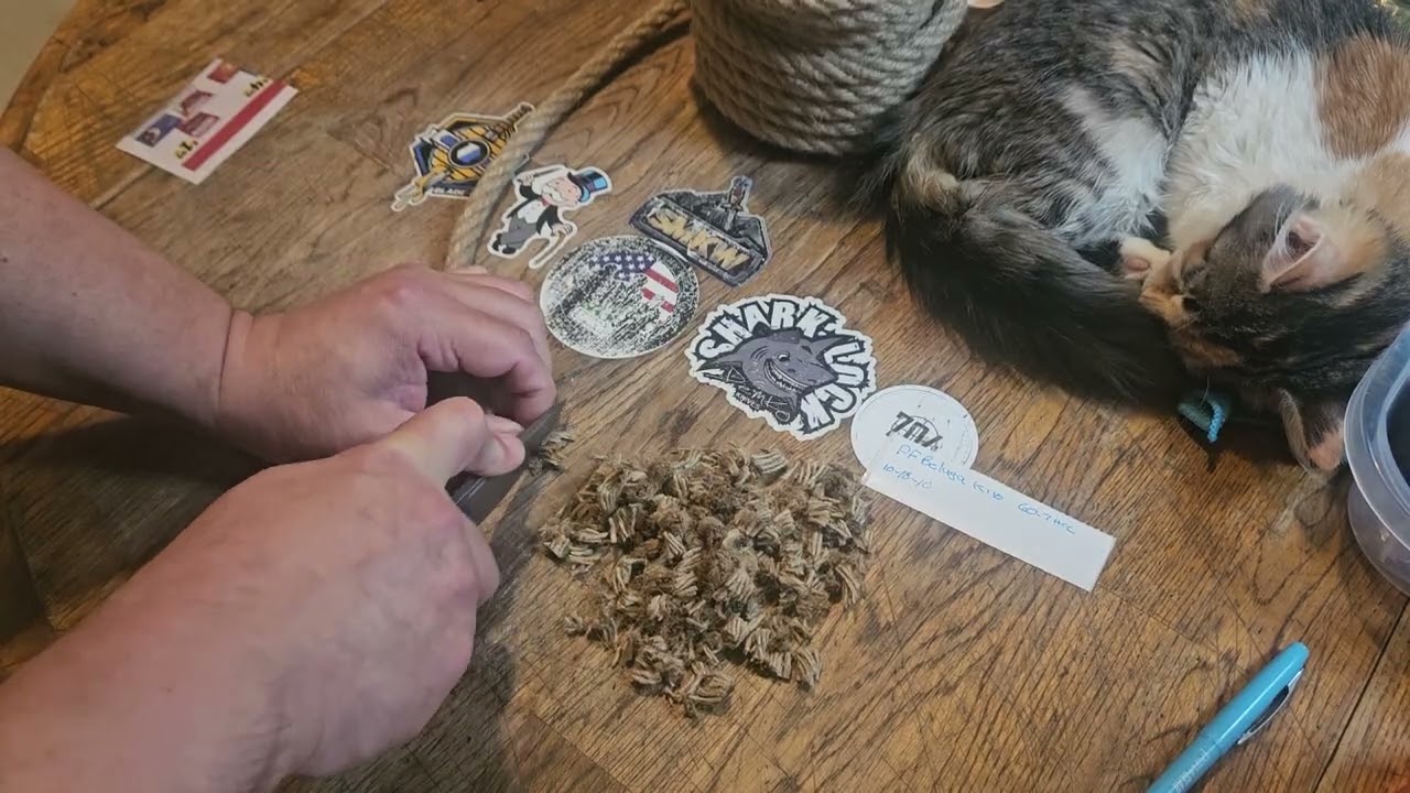 Petrified Fish Beluga in Bohler K110 steel edge retention cut test on half inch twisted sisal rope
