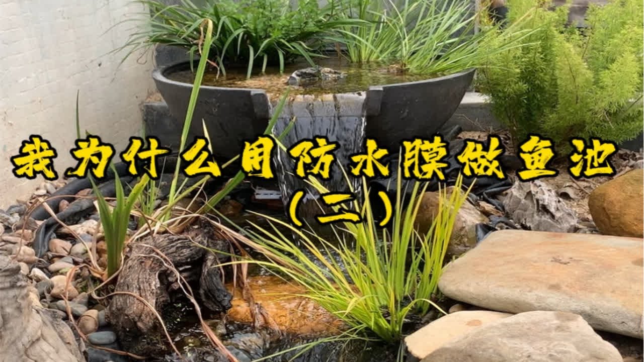 我为什么用防水膜做鱼池（二）