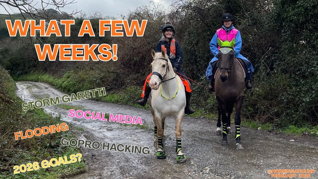 What a few weeks! Storms, Social media, Hacking and 2026 Goals!