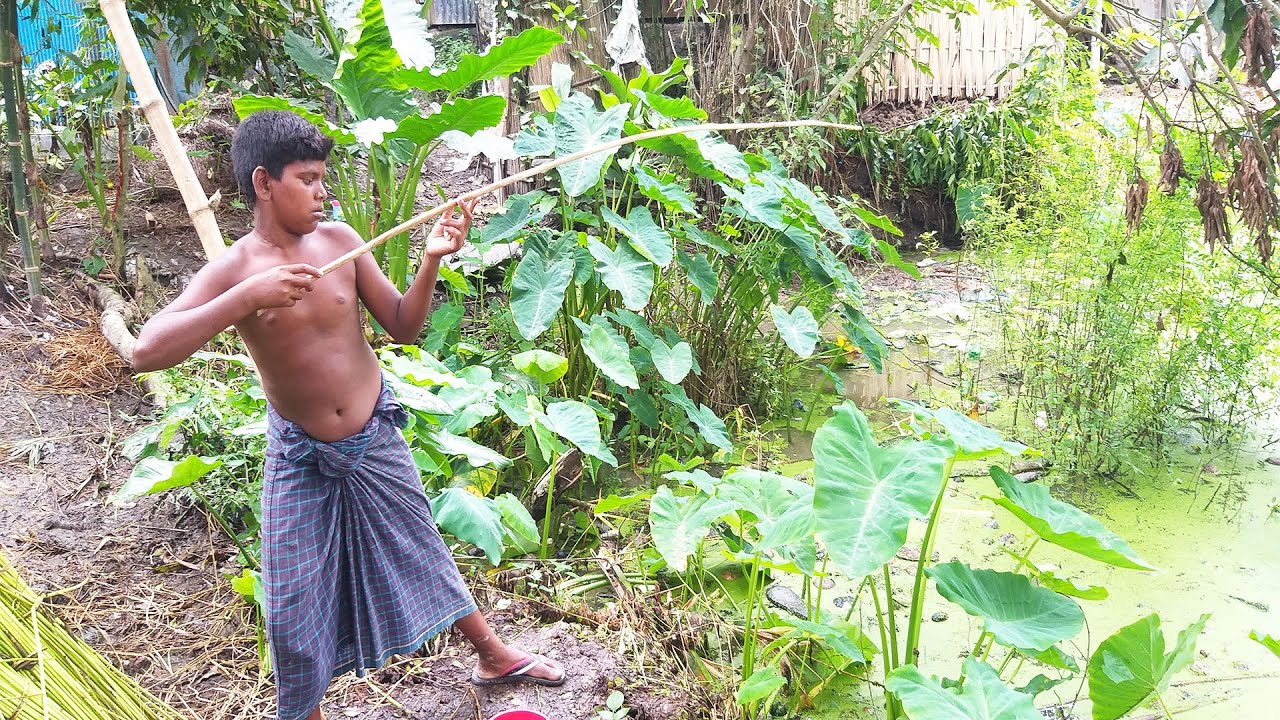 Traditional Hook Fishing From Natural Pond (part -17)