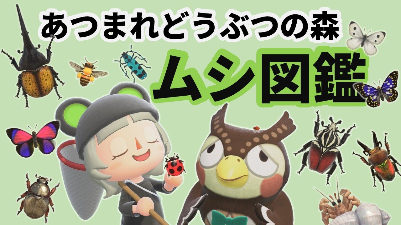 リアルな視点であつ森のムシを見る【あつ森】