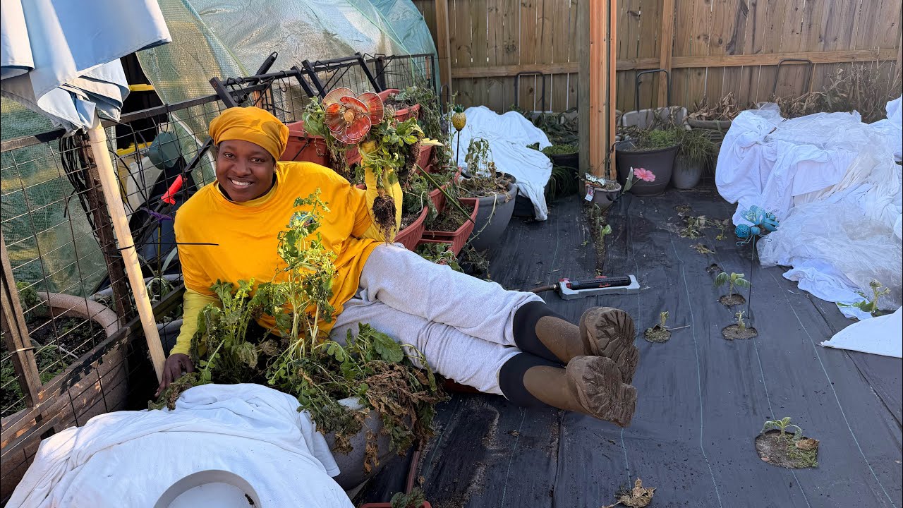 Uncovering the garden ￼