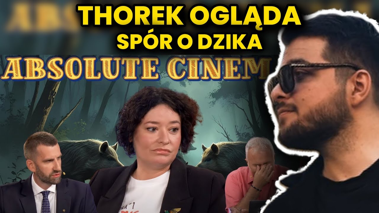 THOREK ogląda SP&Oacute;R O DZIKA