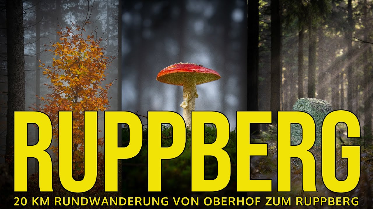🇩🇪 RUPPBERG - 20 km Rundwanderung von Oberhof zum Ruppberg Rennsteig Kanzlersgrund Gebrannter Stein