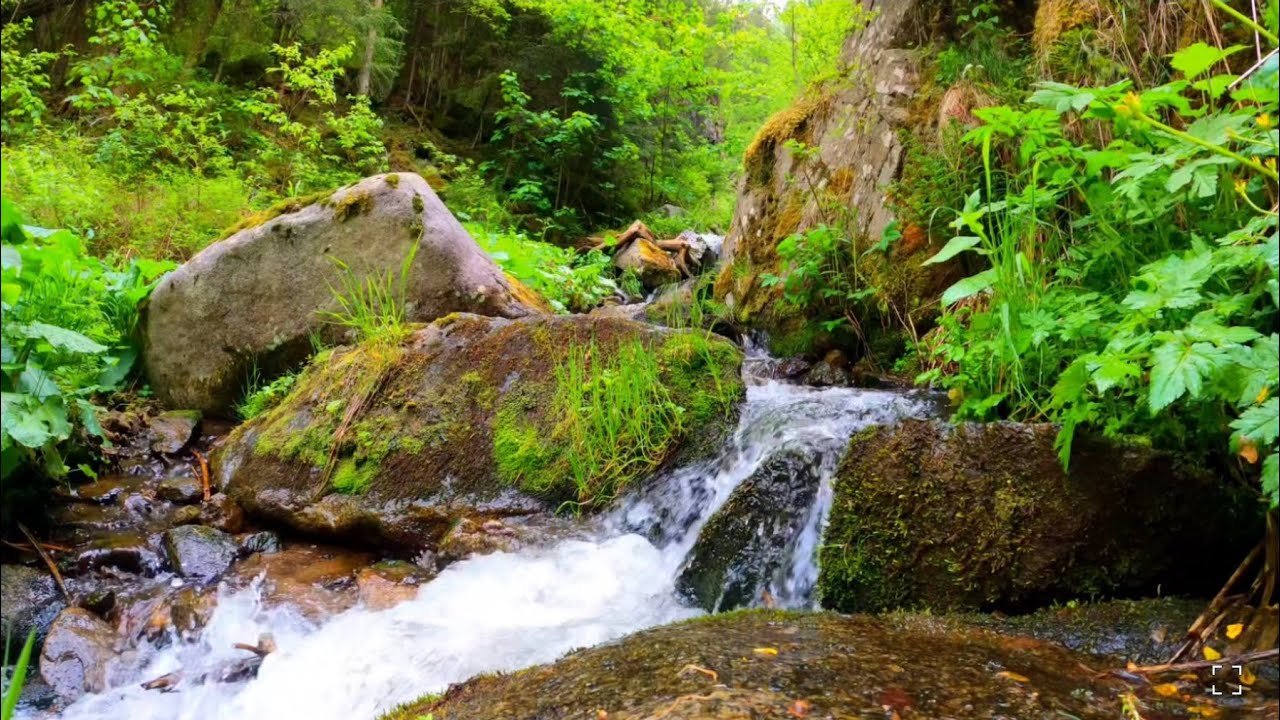 528Hz/432Hz/Repara tu descanso/Cargate de energía #DormirProfundo #Meditacion #Relax #Sonidos #asmr 