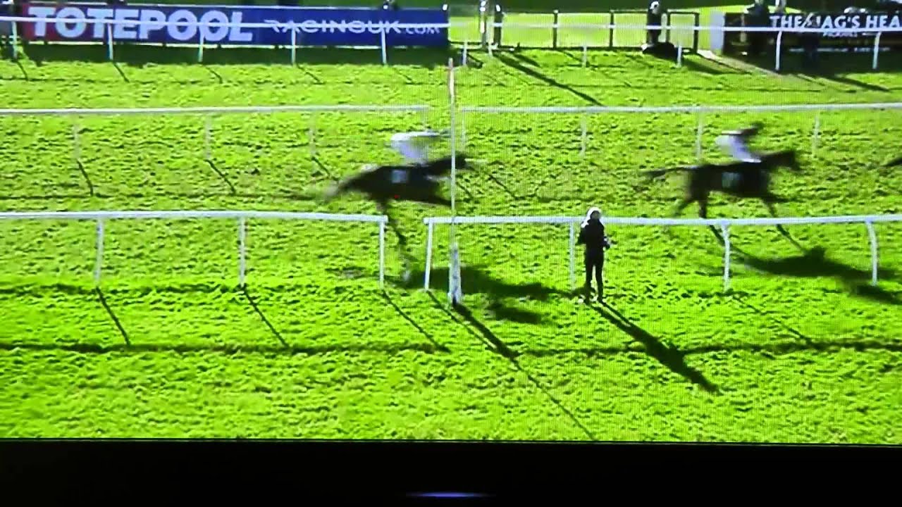 Catterick Races 9th Feb 2015