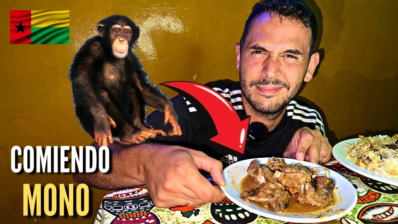 EN ESTE PAIS COMEN MONO 🐵 | ASI ES LA COMIDA en GUINEA BISAÚ 🇬🇼 | La Vida de M