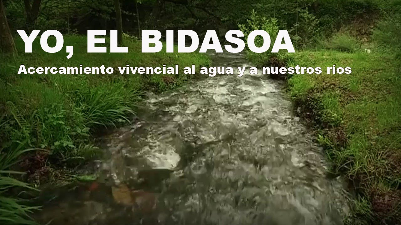 Yo, el Bidasoa - recorrido vivencial por el r&iacute;o desde Baztan hasta el mar