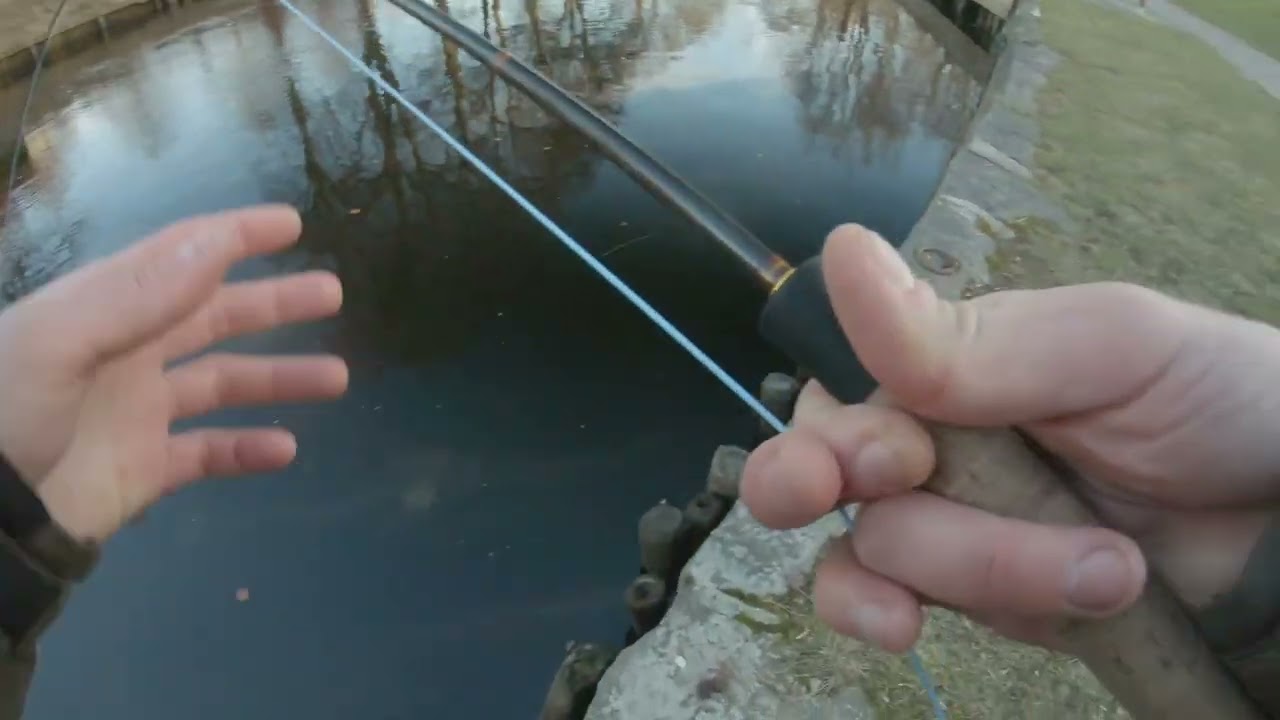 Bonusöring i Nättrabyån