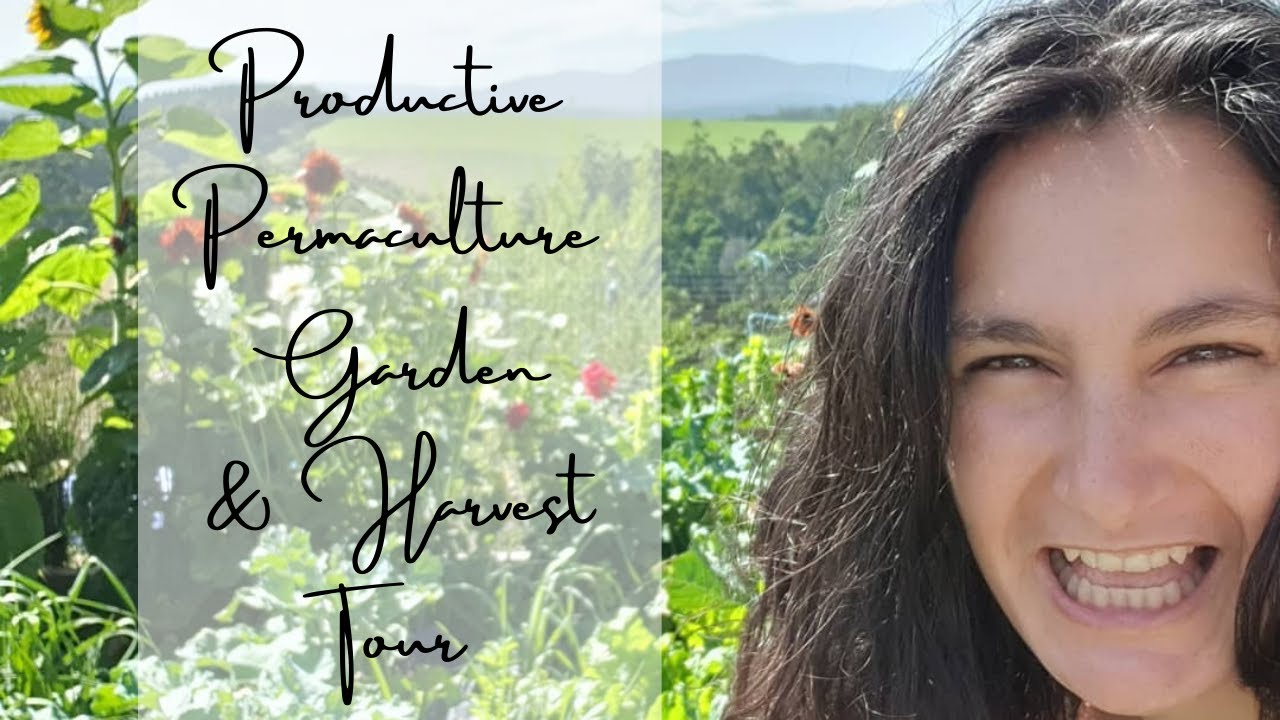 Productive Permaculture Garden And Harvest Tour  #permaculture #gardentour #harvest #gardenharvest