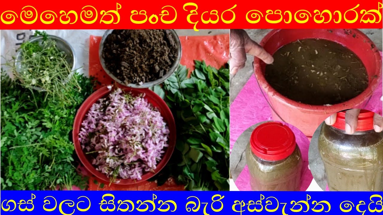 පංච දියර පොහොරක්|යොදා බලන්න| වගාවේ නව පෙරළියක්
