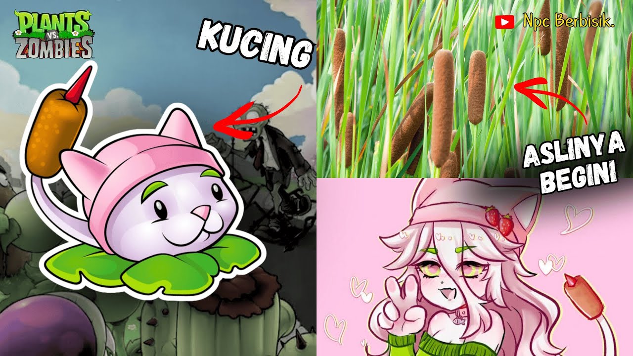 Tanaman Mirip Kucing! Asal Usul Cattail di Plants vs Zombies